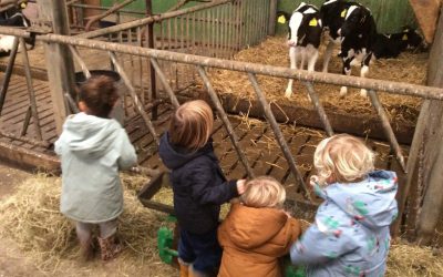 Kinderdagopvang De Boerderij