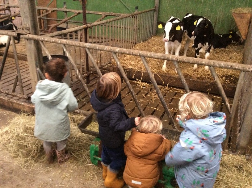 Kinderdagopvang de Boerderij